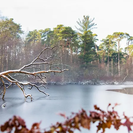 Apartamento Petite With Wifi, Ac, And Shared Kitchen