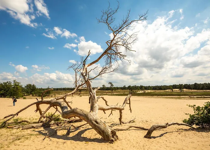 Petite With Wifi, Ac, And Shared Kitchen * Tilburg