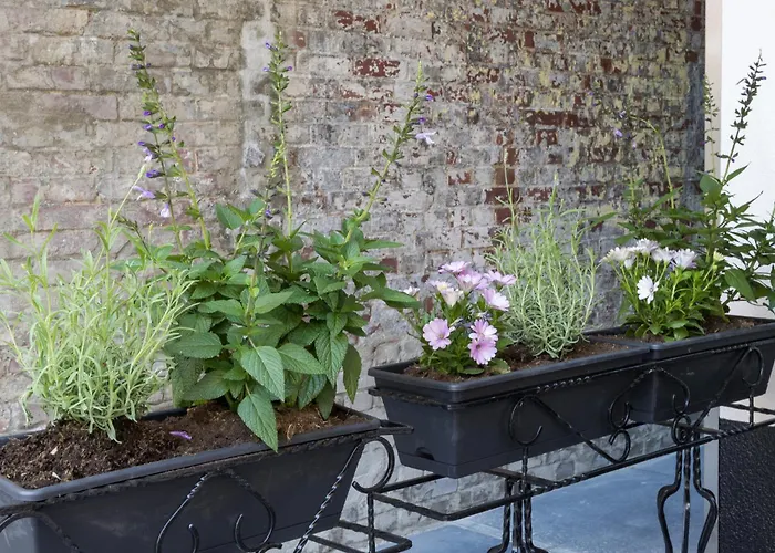 Petite With Wifi, Ac, And Shared Kitchen Apartment *