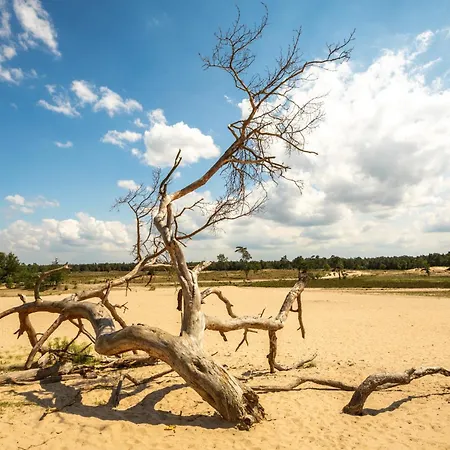 Petite With Wifi, Ac, And Shared Kitchen * Tilburg