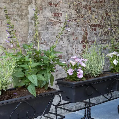 Petite With Wifi, Ac, And Shared Kitchen Daire *