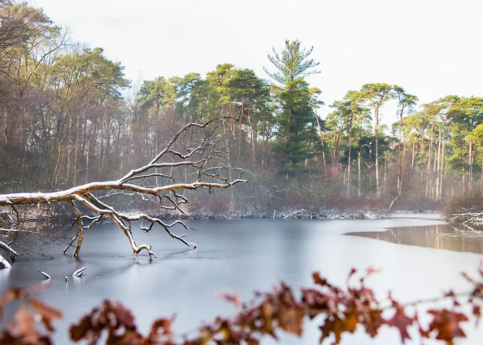 Apartamento Petite With Wifi, Ac, And Shared Kitchen